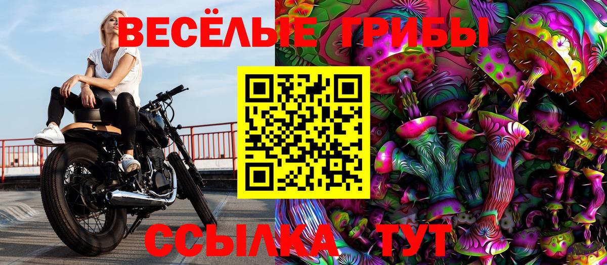 Галлюциногенные грибы ЛСД  Вход с VPN  Белореченск 